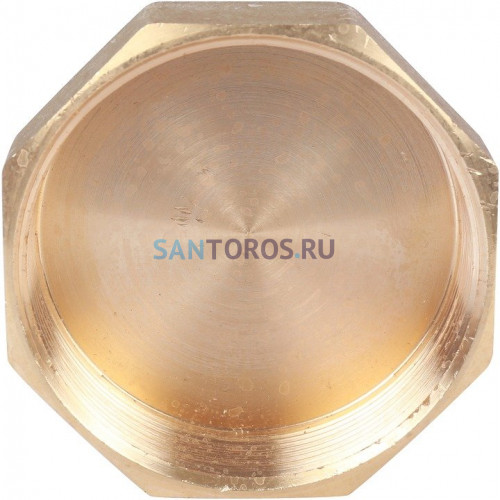Заглушка ВР 2 1/2 Stout SFT-0026-000212